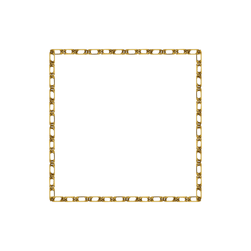 Luxurious Realistic Gold Chain Frame