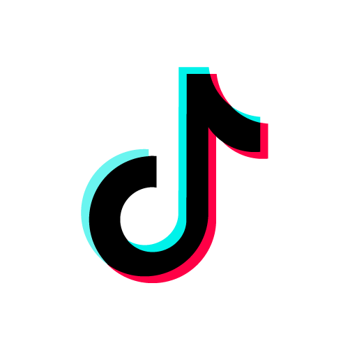 tik tok flat icon
