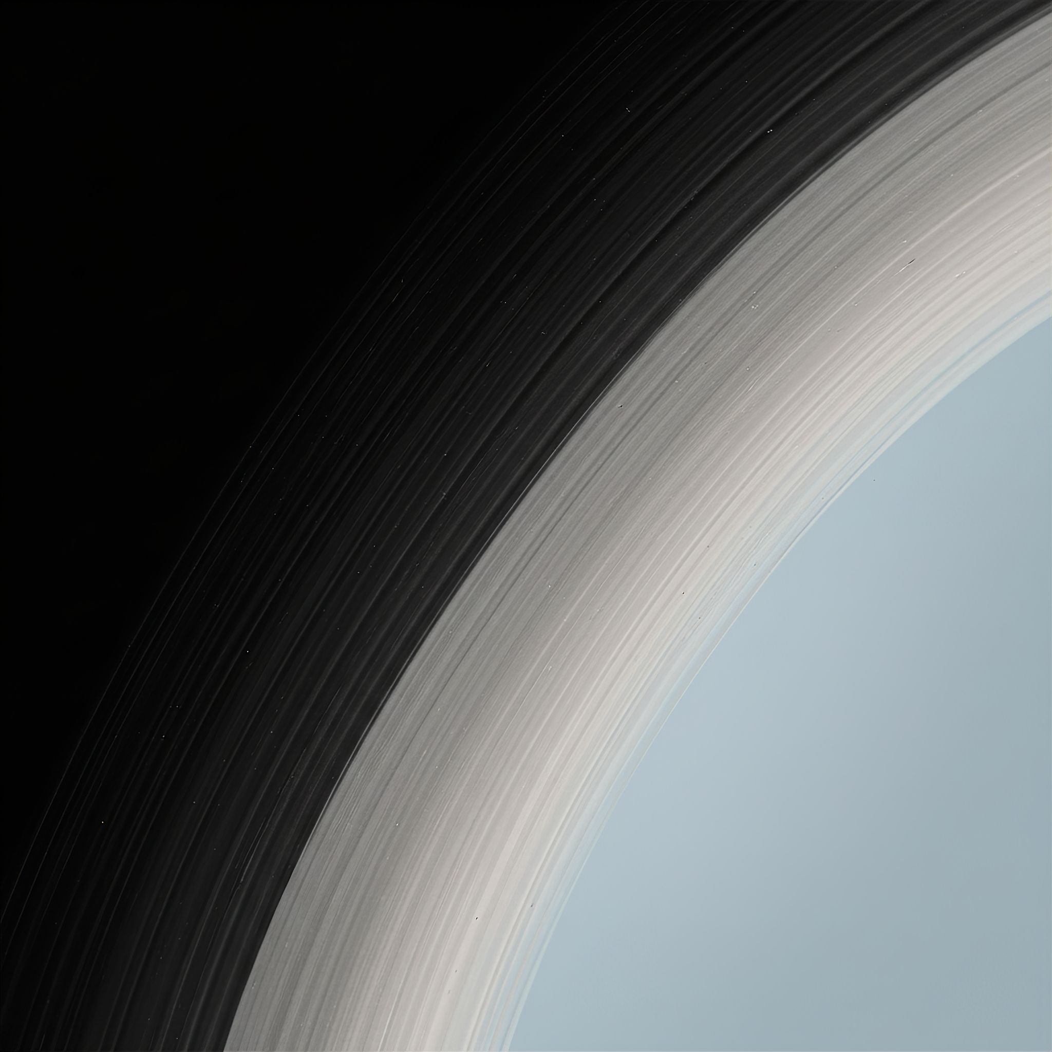 Celestial stripes The Elegance of Contrast